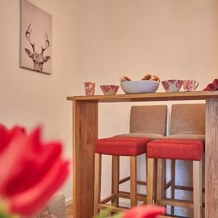 Felsenfest Apartament